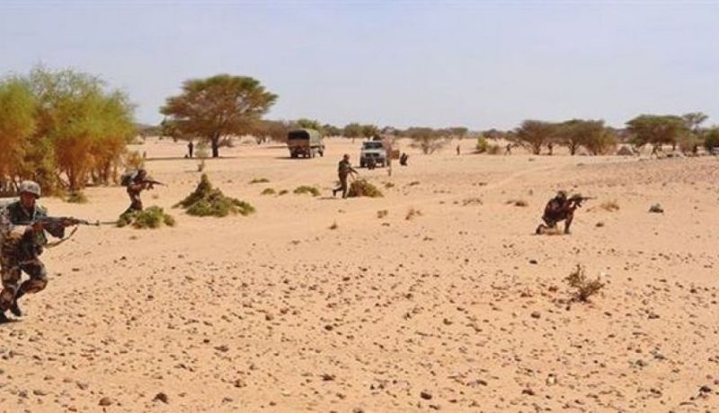 توقيف 4 مهربين وحجز سيارتين و1497 علبة سجائر بالوادي