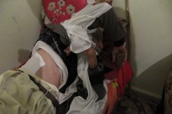 مجهولان يكسران ضلعي شيخ سبعيني ويستوليان على قطيع غنمه في باتنة