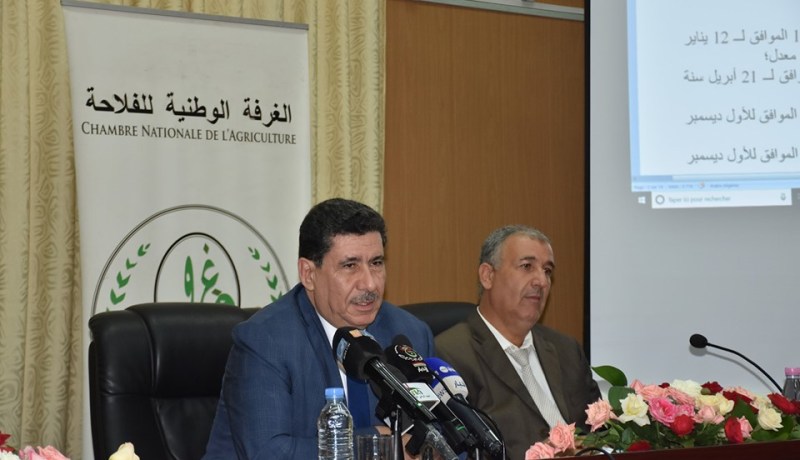 وزير الفلاحة: سنعزز الأمن الغذائي للبلاد وتقليص التبعية