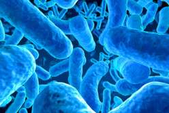 اكتشاف بكتيريا قاتلة بمستشفى المسيلة