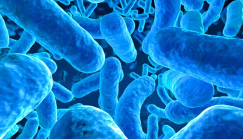 اكتشاف بكتيريا قاتلة بمستشفى المسيلة