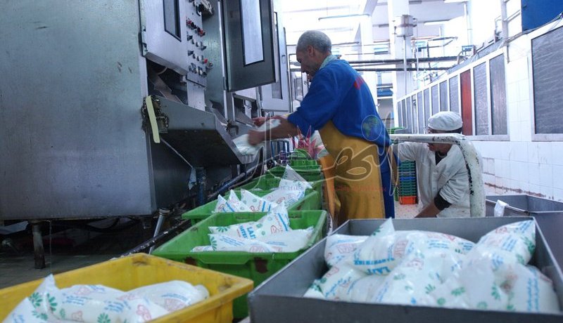 25 دينار للتر الواحد لمن يريد التعامل في تعليب الحليب المدعم