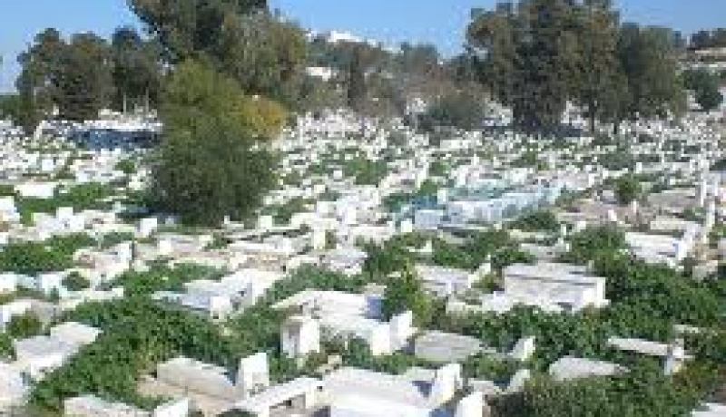 شاب يُغسّل ويُكفّن جثّة كلبة ثم يدفنها داخل مقبرة المسلمين في باتنة