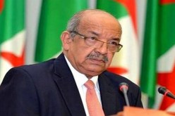 انتخاب أعضاء مفوضية الاتحاد الإفريقي اليوم الإثنين بكيغالي