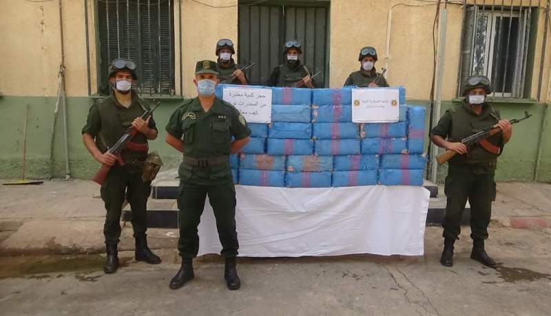 وزارة الدفاع: توقيف 26 بارون مخدرات وضبط 12.38 قنطار زطلة