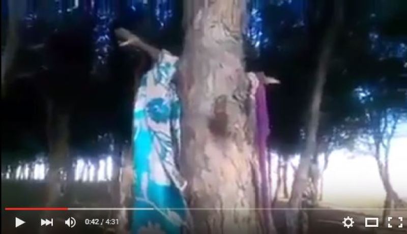 بالفيديو غابة مهجورة بين سطيف وقسنطينة ملجأ للسحرة والمشعوذين