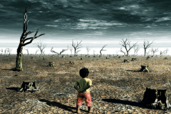 انطلاق أشغال ندوة دولية حول التغير المناخي بالجزائر العاصمة