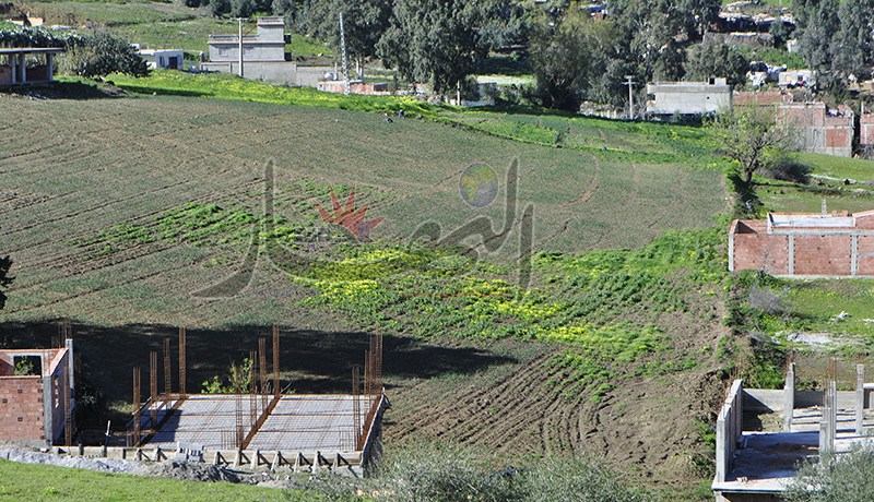 أميار يبيعون قطع أراضي بـ 120 مليون