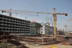 بدر الدين دفوس مديرا جديدا لوكالة إنجاز وتسيير الجامع الأعظم