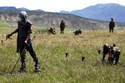 اكتشاف وتدمير أكثر من 7300 لغما يعود للحقبة الاستعمارية خلال شهر جويلية 2015