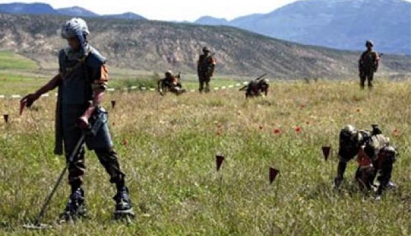 اكتشاف وتدمير أكثر من 7300 لغما يعود للحقبة الاستعمارية خلال شهر جويلية 2015