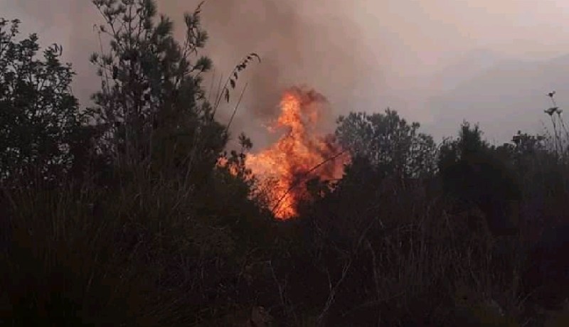 الشلف: الحماية المدنية تتدخل لإخماد 4 حرائق مهولة إندلعت في 3 بلديات