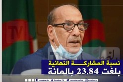 المجلس الدستوري يعلن عن النتائج النهائية لإستفتاء تعديل الدستور