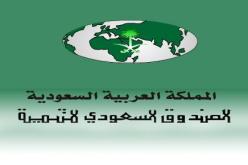 الصندوق السعودي للتنمية يمنح تونس قرضا لبناء محطة إنتاج طاقة كهربائية