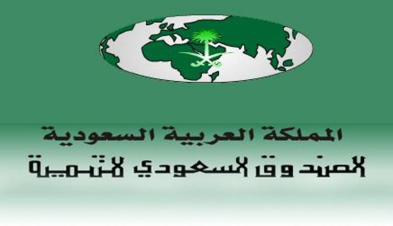الصندوق السعودي للتنمية يمنح تونس قرضا لبناء محطة إنتاج طاقة كهربائية