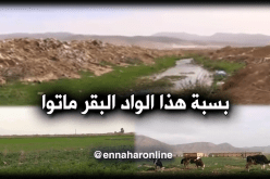 مياه الصرف الصحي تتسبب في خسائر بقرية الحصبة بباتنة