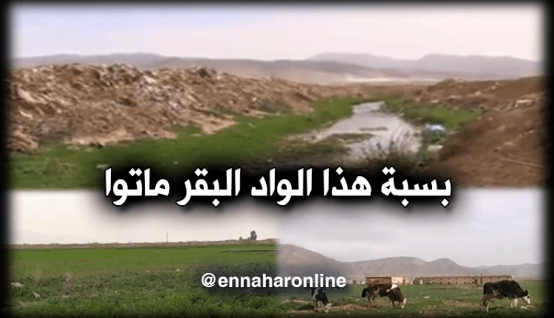 مياه الصرف الصحي تتسبب في خسائر بقرية الحصبة بباتنة