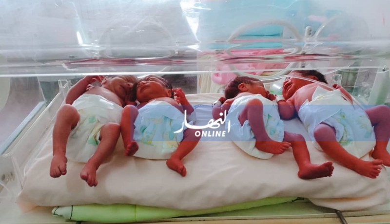 بالصور…  عائلة من وهران ترزق بأربعة توائم في صحة جيدة