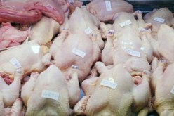 الحكومة التونسية تقرر منع استيراد الطيور من فرنسا