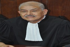 سيليني قلبو على ملايير الاستشارات