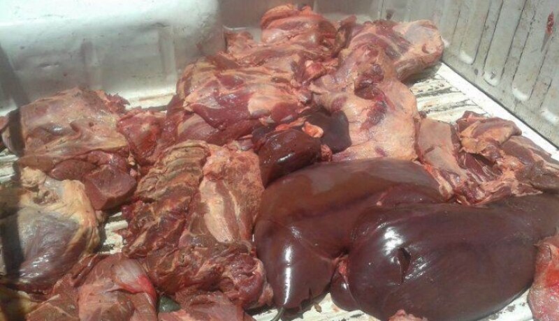 حجز أكثر من 7 قناطير من اللحوم الفاسدة في سيدي بلعباس