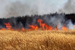 حريق يأتي على 7 هكتارات من المحاصيل الفلاحية في غليزان