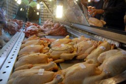 حجز أزيد من 24 قنطارا من اللحوم البيضاء الفاسدة في وهران