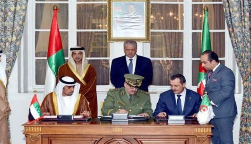 التوقيع على 14 اتفاقية ومذكرة تفاهم في قطاعي الطاقة والصناعة بين الجزائر والإمارات