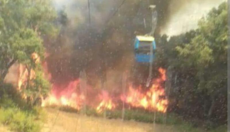حريق يحاصر محطة التيليفيريك.. وحالة طوارئ في عنابة