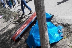مصرع ابن جنرال يمني في حادث مرور بباتنة