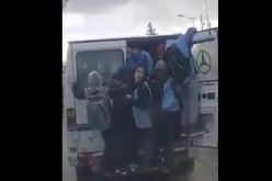 شاهد كيف يتم نقل التلاميذ إلى المدارس