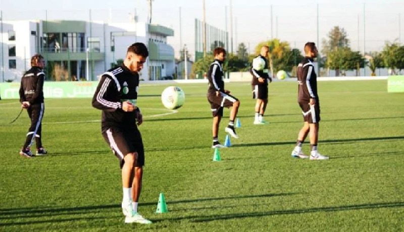 الجزائر تتقدم إلى المرتبة الـ32 عالميا وتحافظ على الصدارة إفريقيا