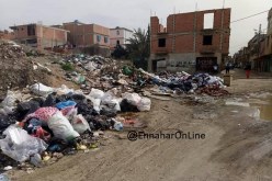 بالصور .. الكاليتوس بالعاصمة تغرق في النفايات