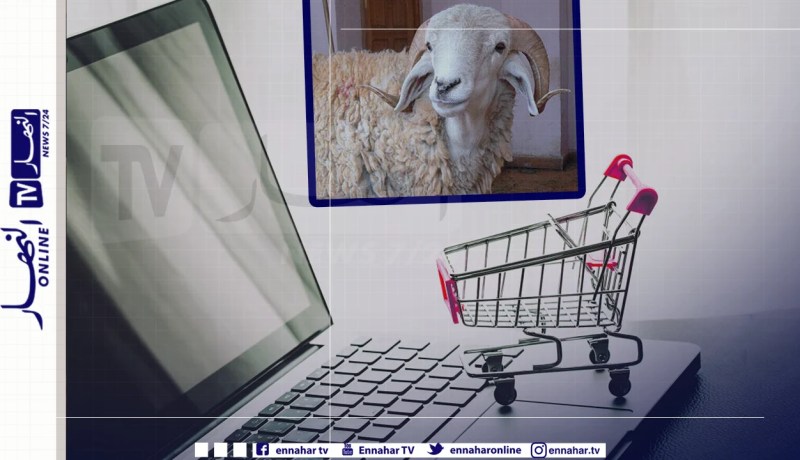 تسويق أضحية العيد إلكترونيا في زمن كورونا