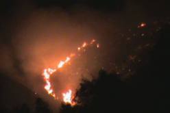 البليدة : إتلاف 160,5 هكتار و إجلاء عشرات المواطنين