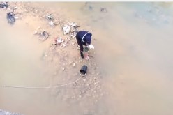 فيديو رائع للحماية المدنية وهي تنقذ قط عالق في نهر بضواحي العاصمة التونسية