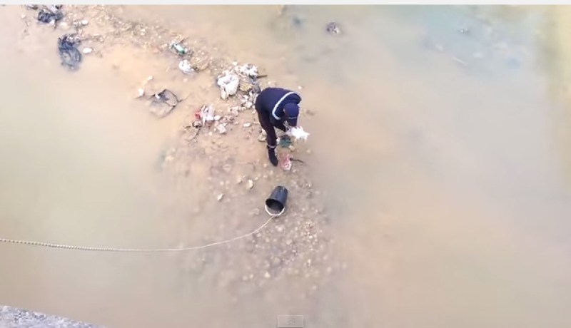 فيديو رائع للحماية المدنية وهي تنقذ قط عالق في نهر بضواحي العاصمة التونسية