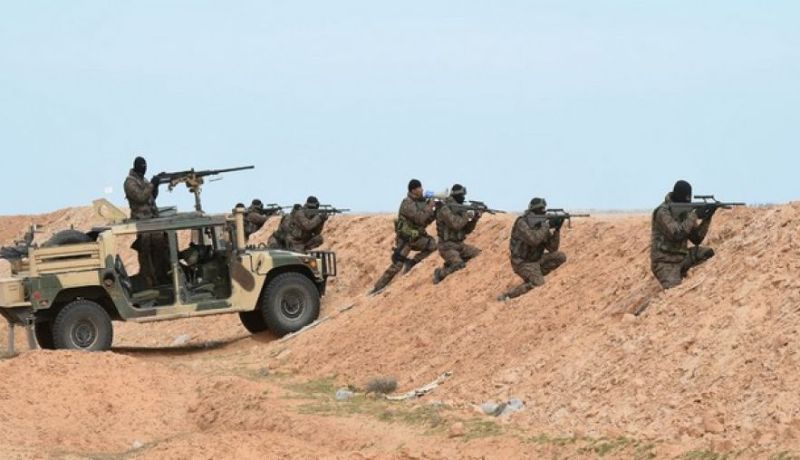 الحبيب الصيد يؤكد أن تونس لن تسمح بأي تدخل أجنبي لمواجهة الإرهاب