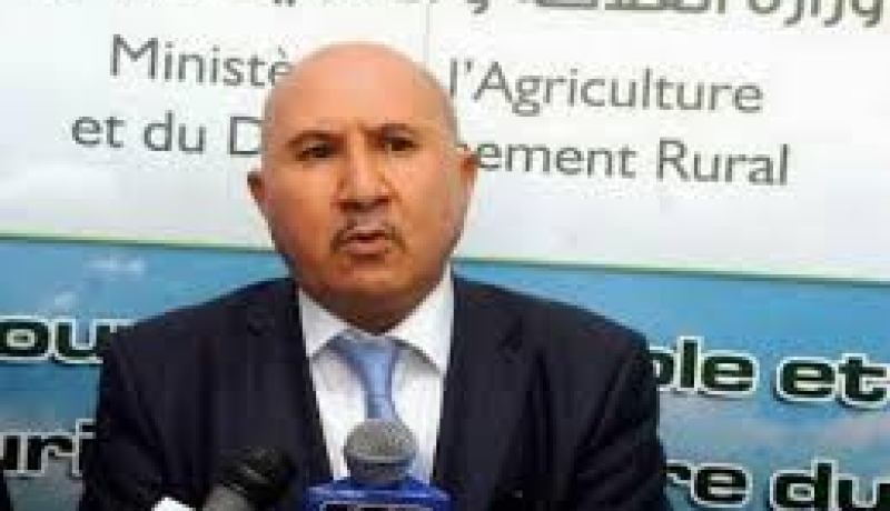 تحقيقات مديرية الفلاحة تحذف 500 موال من قائمة المستفيدين من الأعلاف المدعّمة في تلمسان