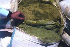 العثور على ورشة سرية لرحي مادة الشمة في سطيف