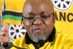 الأمين العام للمؤتمر الوطني الإفريقي يعلن مقاطعة المؤسسات الناشطة في الأراضي الصحراوية