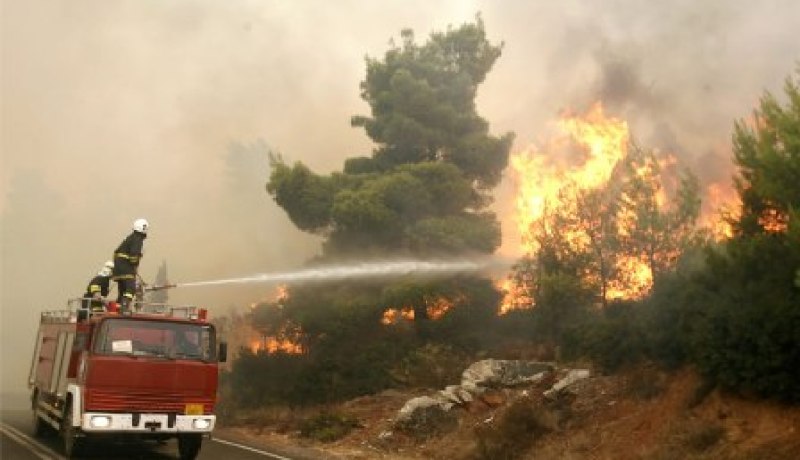 التحكم في حريق جبل بوعلوان في خنشلة بنسبة 90 بالمائة