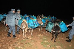 إحباط محاولة تهريب أزيد من 1600 لتر من الوقود في الوادي