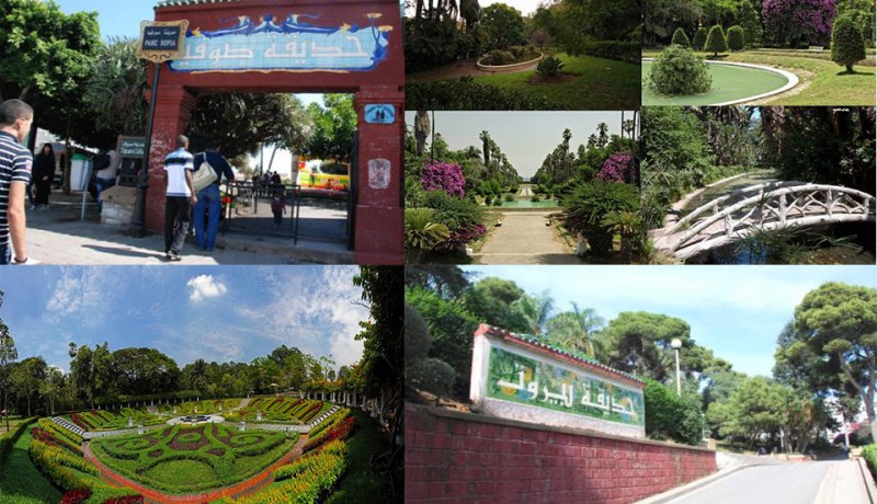 قريبا.. مؤسسة عمومية لتسيير الفضاءات العمومية بوسط العاصمة