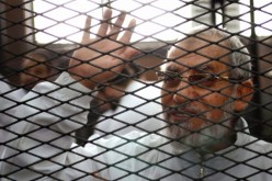الحكم بالمؤبد للمرشد العام لجماعة الإخوان المسلمين محمد بديع