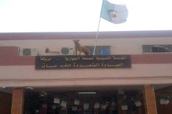 الصورة التي تفضح الواقع