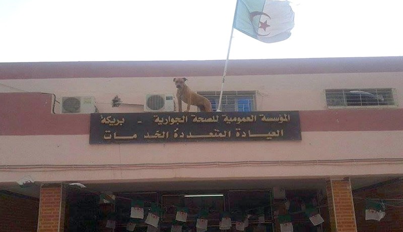 الصورة التي تفضح الواقع