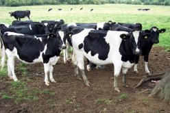 سنعوّض كـل المربّين المتضررين بمن فيهـم غير المــؤمنين