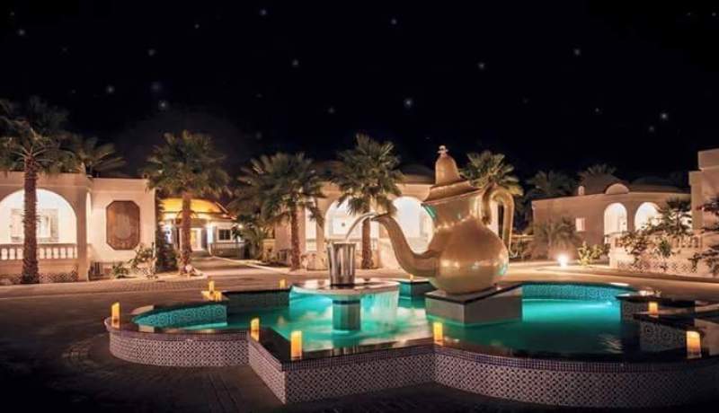 بالفيديو الغزال الذهبي يفتح شهية الإعلاميين
