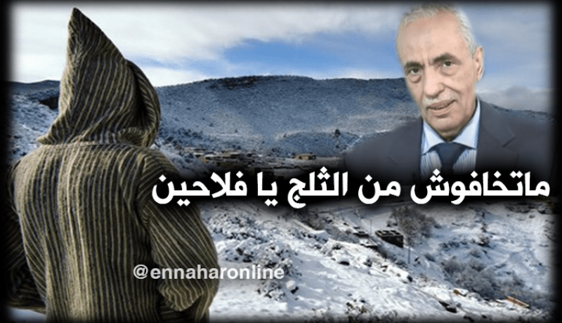 عليوي: الأمطار والثلوج في فصل الربيع لن تفسد المحاصيل الفلاحية